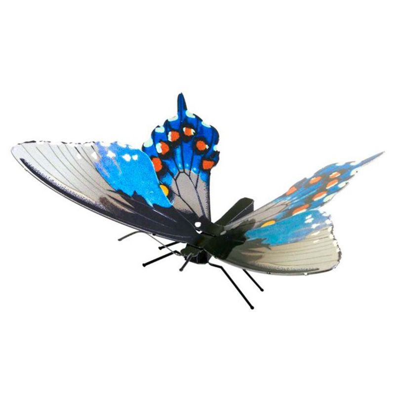 FASCINATIONS-COLA-DE-GOLONDRINA-PIPEVINE-600-10265