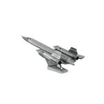 FASCINATIONS-Avion-sr-71-blackbird-600-10087
