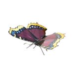FASCINATIONS-Mariposa-mourning-cloak-600-10137