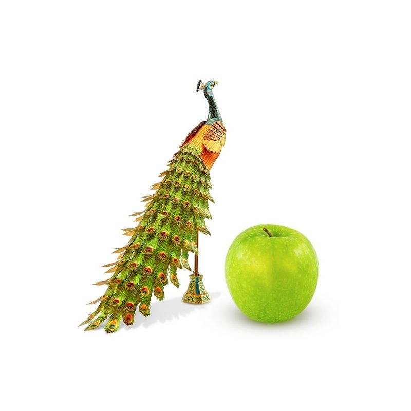 FASCINATIONS-Peacock-600-10506