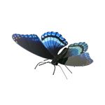 FASCINATIONS-Mariposa-Red-Spotted-Purple-600-10267