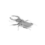 FASCINATIONS-Escarabajo-600-10123