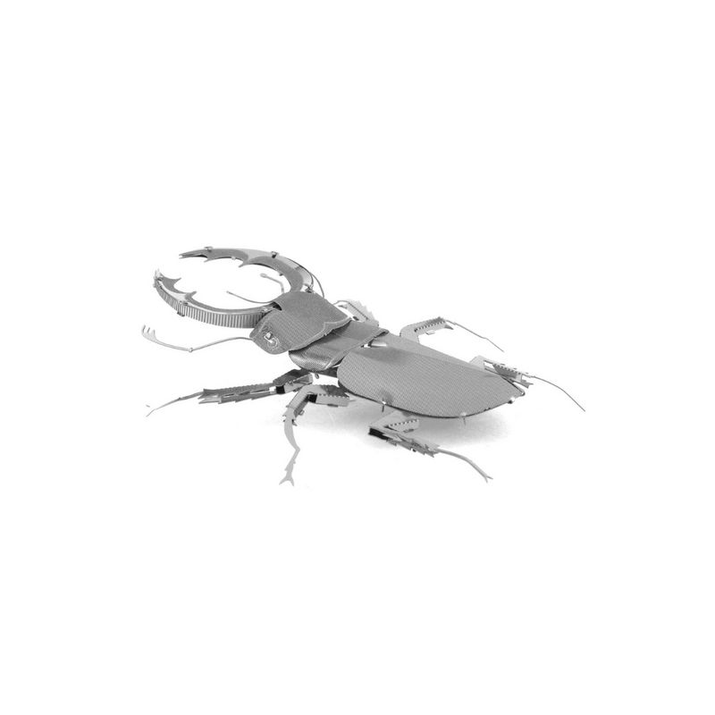 FASCINATIONS-Escarabajo-600-10123