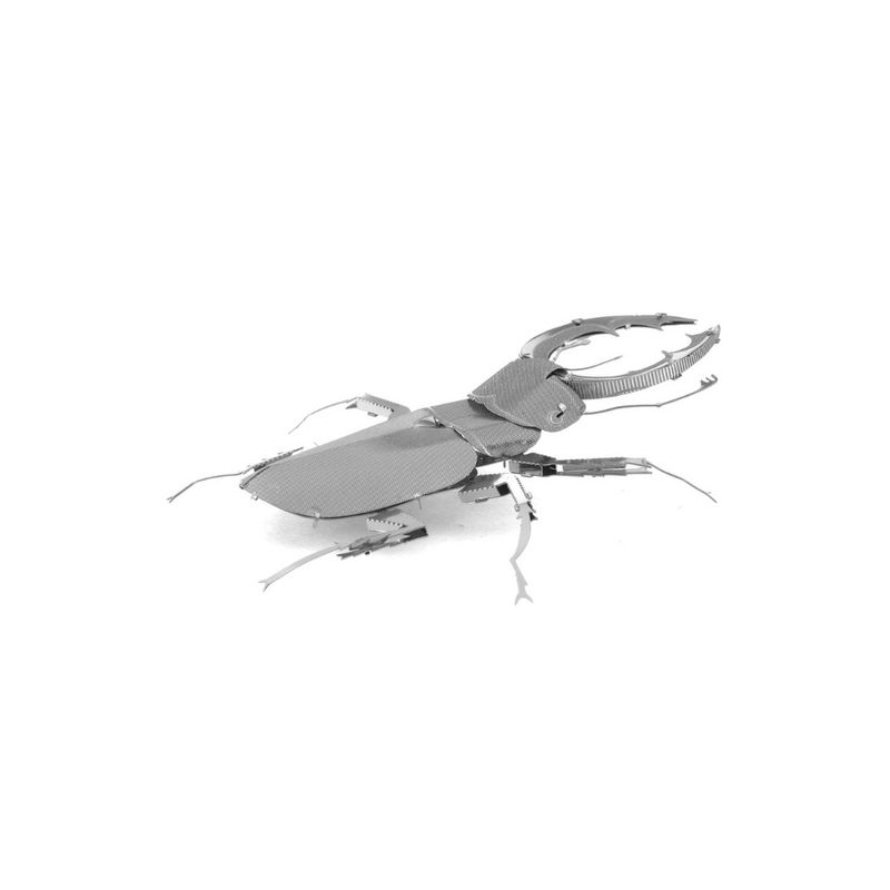 FASCINATIONS-Escarabajo-600-10123