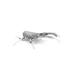 FASCINATIONS-Escarabajo-600-10123