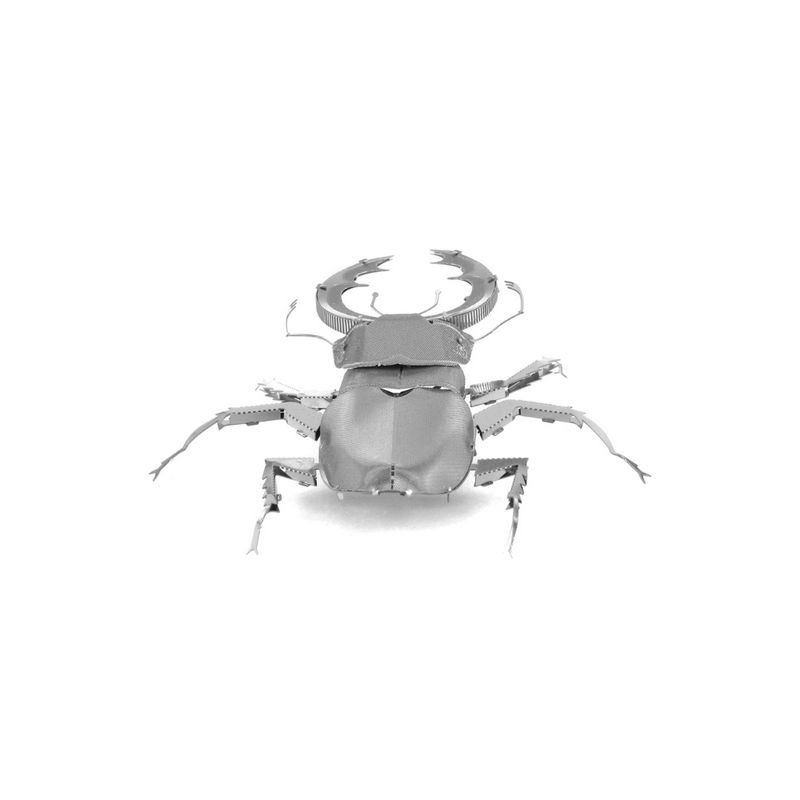 FASCINATIONS-Escarabajo-600-10123