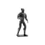 FASCINATIONS-Pantera-negra-600-10555
