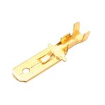 STEREN-Terminal-tipo-fa-macho-1-4--640-5078