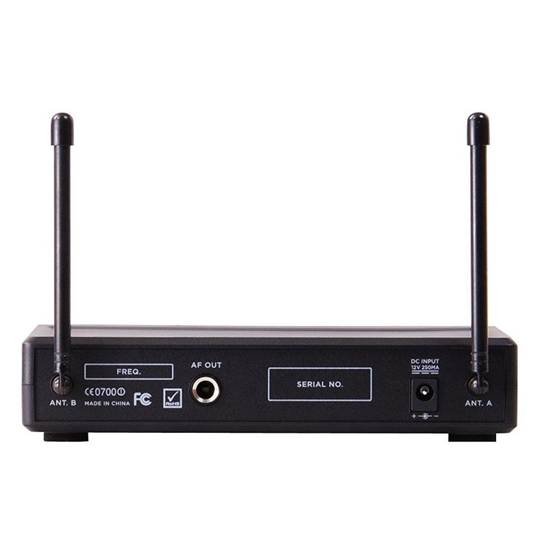 GEMINI-Sistema-de-2-microfonos-inalambricos-con-receptor-420-2010