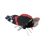 FASCINATIONS-Mariposa-Red-Admiral-600-10266