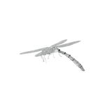 FASCINATIONS-Libelula-600-10122