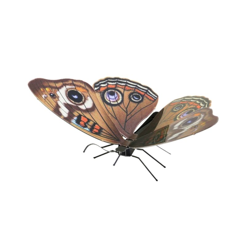 FASCINATIONS-Mariposa-ojo-de-buho-600-10135