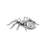 FASCINATIONS-Tarantula-600-10075