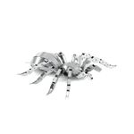 FASCINATIONS-Tarantula-600-10075
