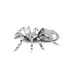 FASCINATIONS-Tarantula-600-10075