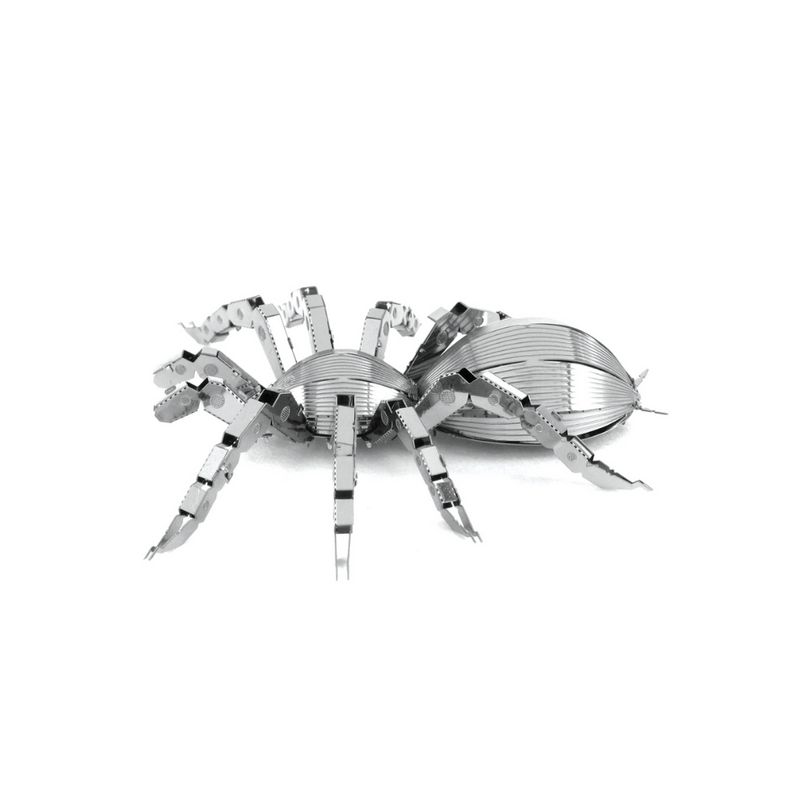 FASCINATIONS-Tarantula-600-10075