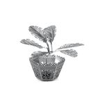 FASCINATIONS-Arbol-de-palma-de-sago-600-10263