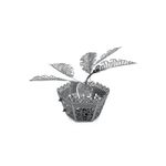 FASCINATIONS-Arbol-de-palma-de-sago-600-10263