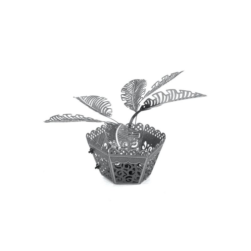 FASCINATIONS-Arbol-de-palma-de-sago-600-10263