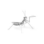 FASCINATIONS-Mantis-religiosa-600-10073