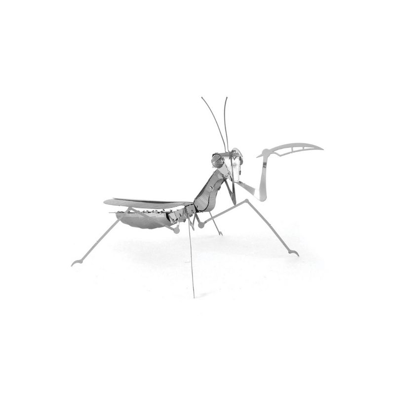 FASCINATIONS-Mantis-religiosa-600-10073