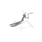 FASCINATIONS-Mantis-religiosa-600-10073