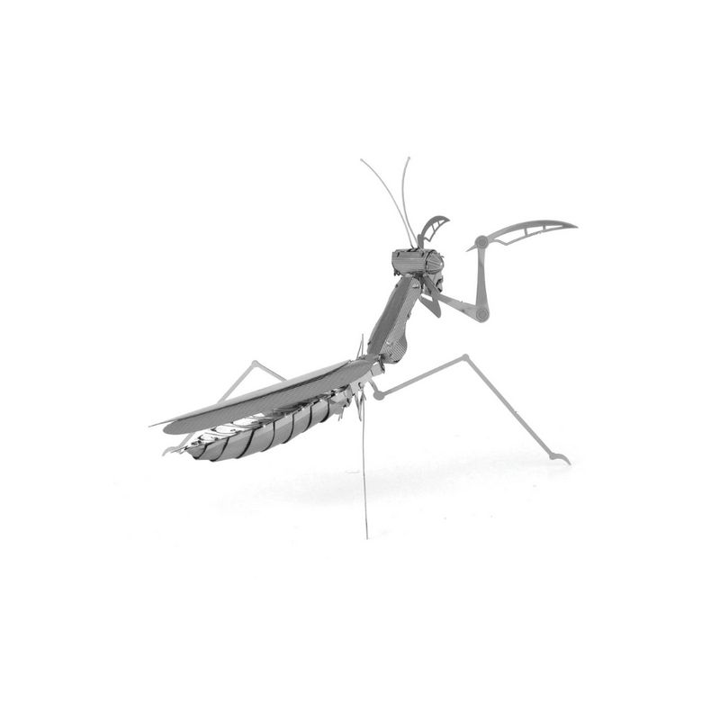 FASCINATIONS-Mantis-religiosa-600-10073