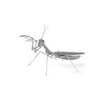 FASCINATIONS-Mantis-religiosa-600-10073