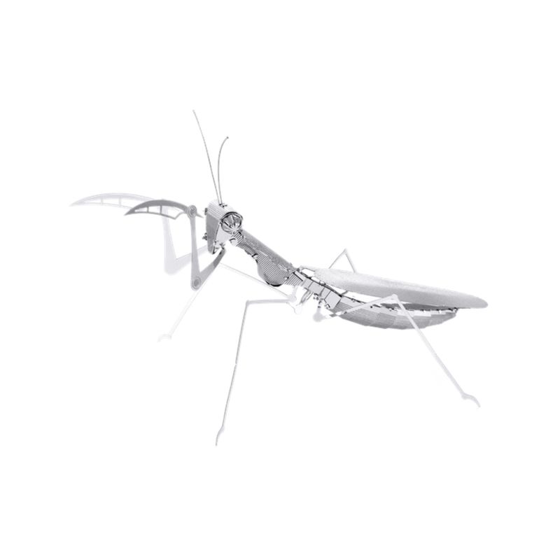 FASCINATIONS-Mantis-religiosa-600-10073