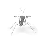 FASCINATIONS-Mantis-religiosa-600-10073