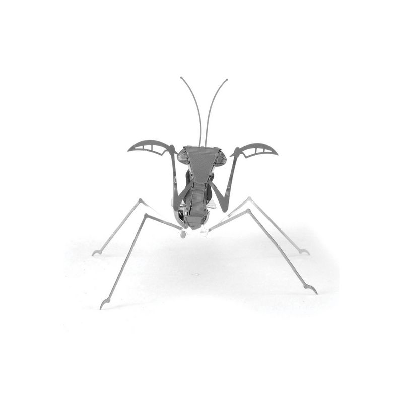 FASCINATIONS-Mantis-religiosa-600-10073