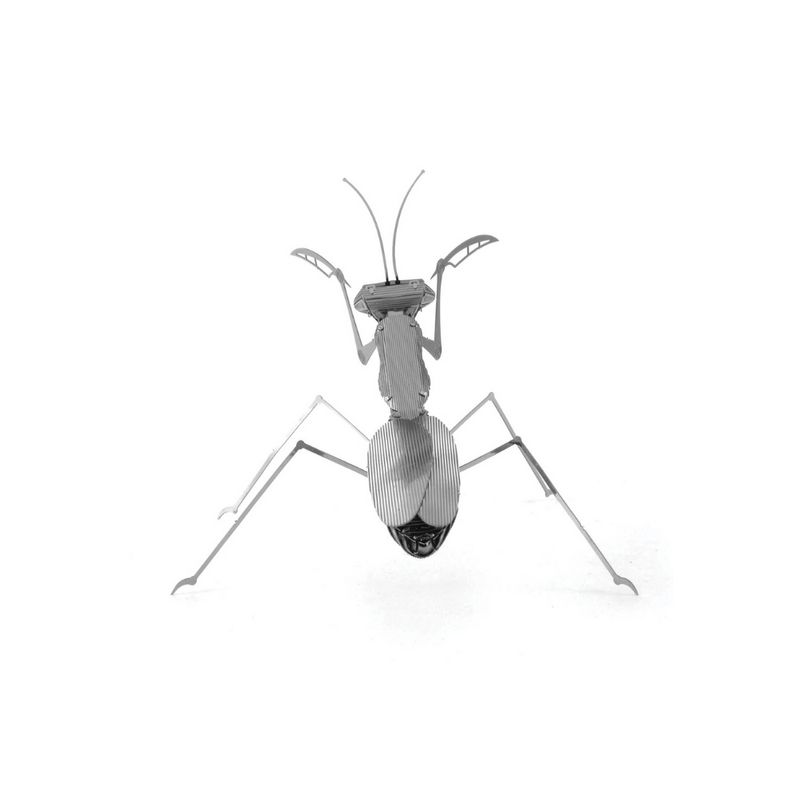 FASCINATIONS-Mantis-religiosa-600-10073