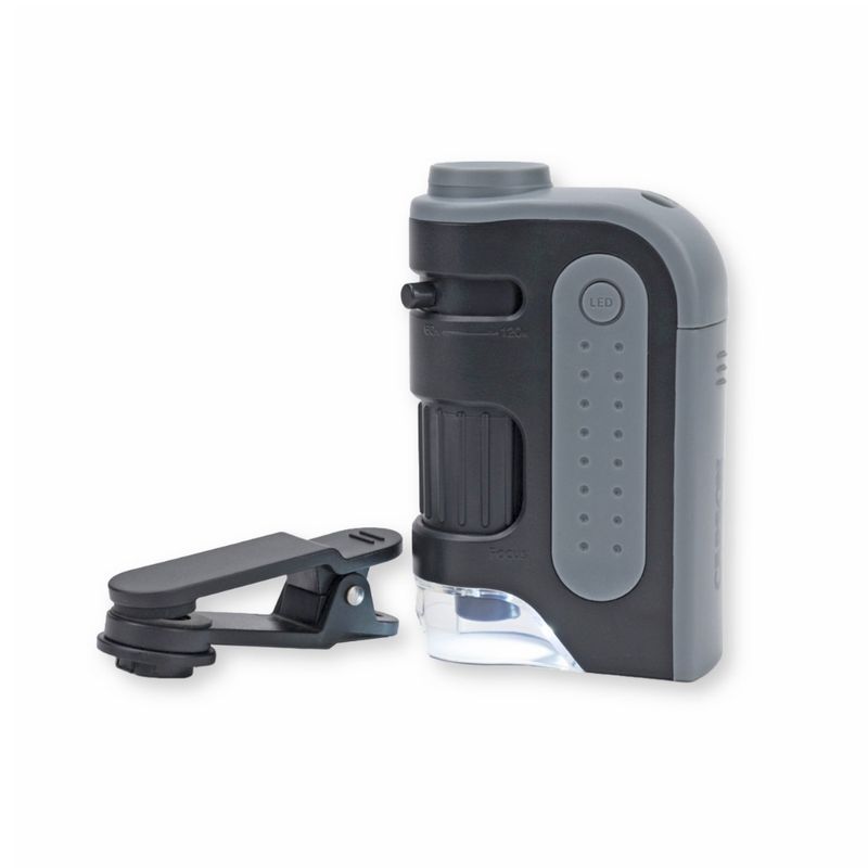 CARSON Microscopio de Bolsillo MM-350 MicroBrite Pro con Zoom Iluminado y Adaptador para Smartphone 630-6206