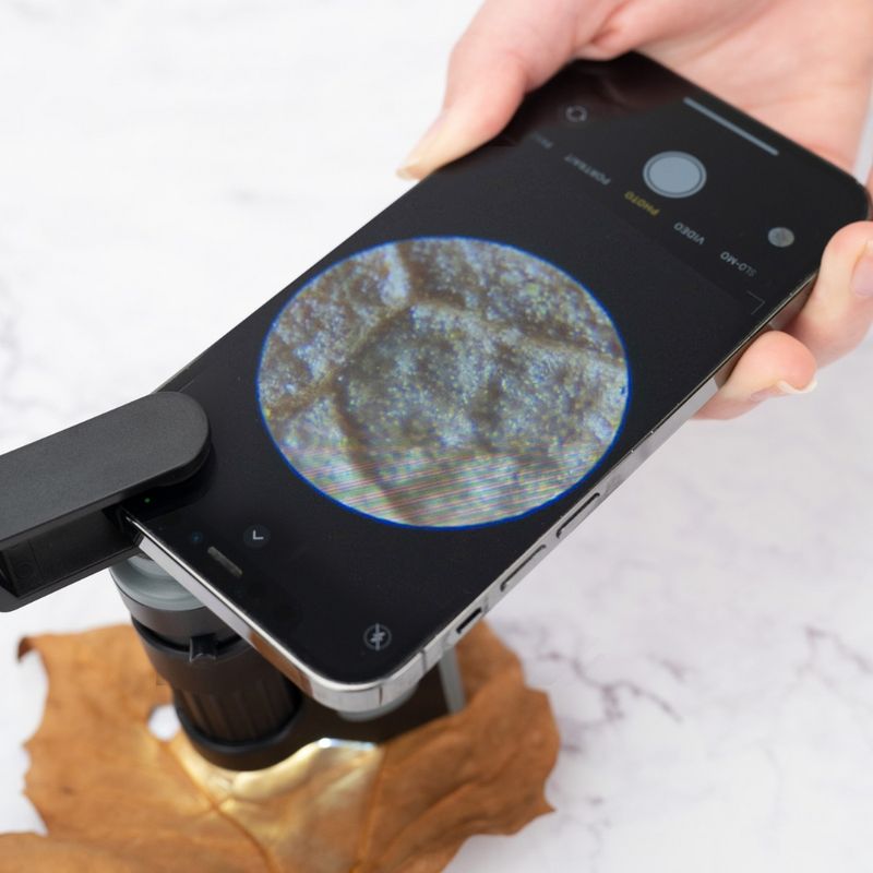 CARSON Microscopio de Bolsillo MM-350 MicroBrite Pro con Zoom Iluminado y Adaptador para Smartphone 630-6206