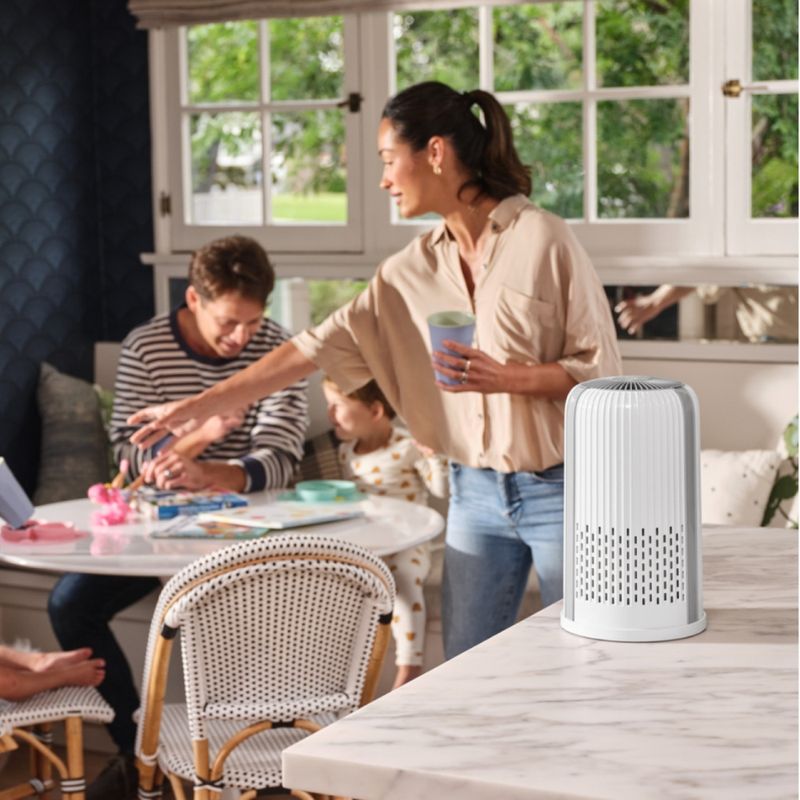 HOMEDICS Purificador de Aire Homedics T12 con Filtro HEPA y Carbono Activo 630-6231