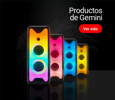 Gemini​​​